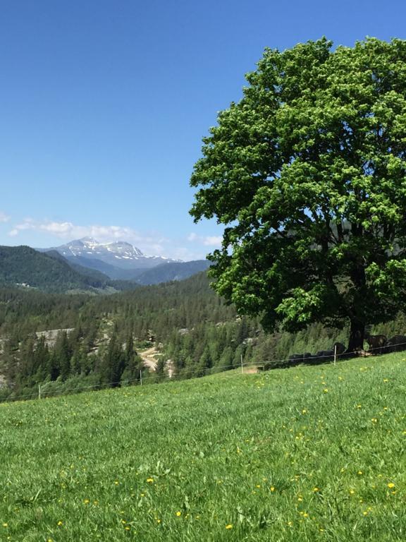 Løngdal